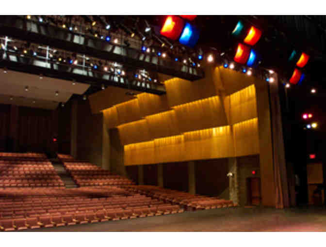 Paddle Raise - NCP Auditorium Stage Curtains