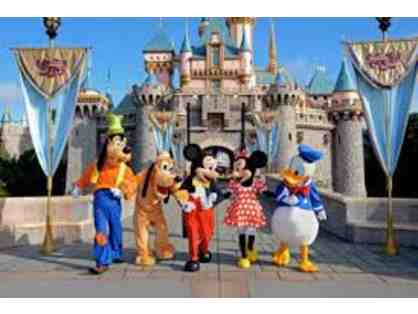 1 Raffle Ticket for Disney Passes