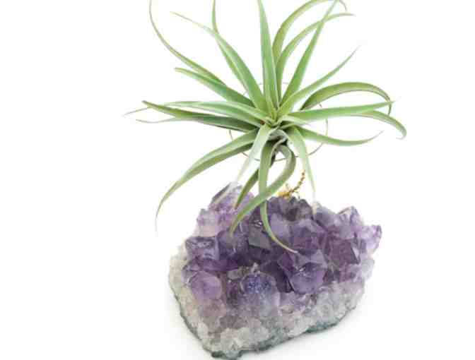 Time to De-Stress: Massage + Stress Supplements