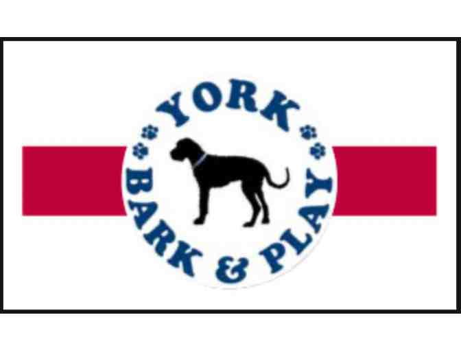 York Bark and Play
