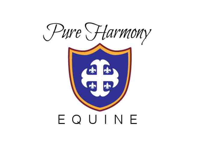 Handmade Leather Bag donated by Pure Harmony
