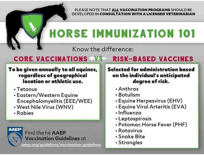 Immunizations for a NEER Equine
