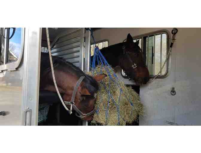 Do Good- Help Transport a NEER Equine to it's Forever Home