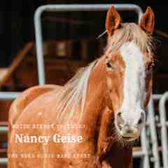 Nancy Geise