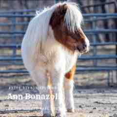Ann Bonazoli