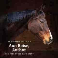 Ann Biese, Author