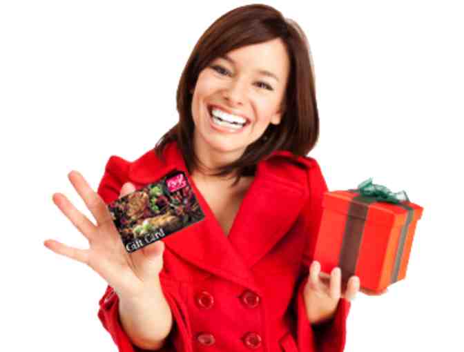 Go Shopping at Big Y with a $50 Gift Card!