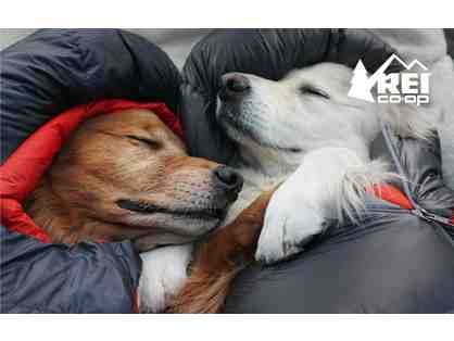 Time to Come Out?! Get your gear at REI!