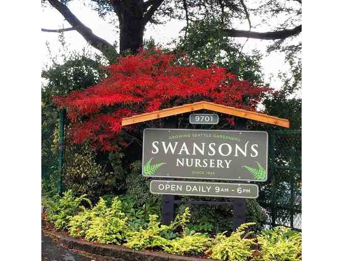 Gardening Delights! Professional Gardening Services and Swanson's Nursery Gift Certificate