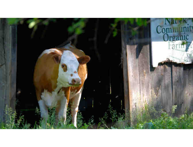 Natick Community Organic Farm - Family Membership (Natick, MA)