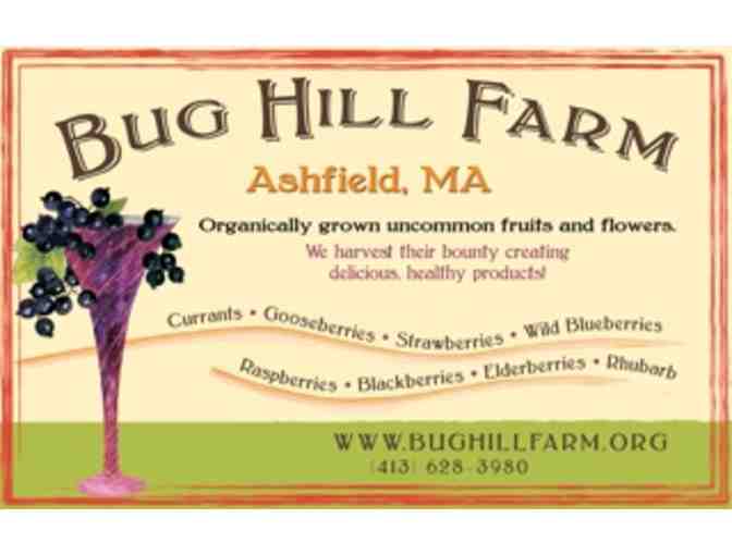 Tour of Bug Hill Farm - A Certified Organic Berry Farm (Ashfield, MA)