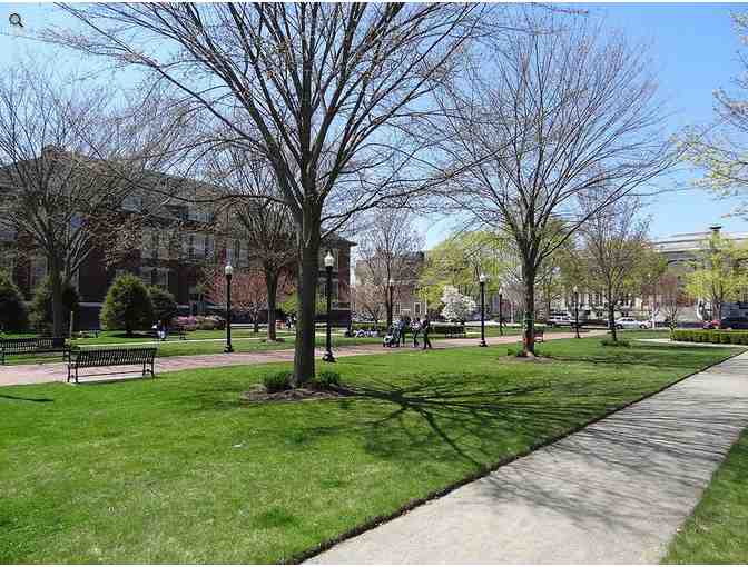 Montserrat College of Art - $250.00 tuition voucher (Beverly, MA)