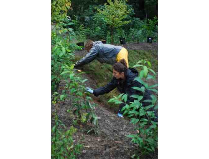 Sponsor a Horticulture Intern for a Day!