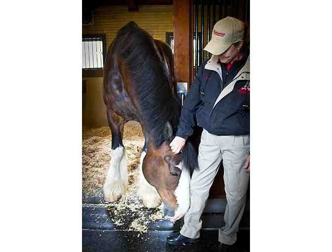 Anheuser-Busch - Brewmaster Tour for four (4) - Merrimack, NH