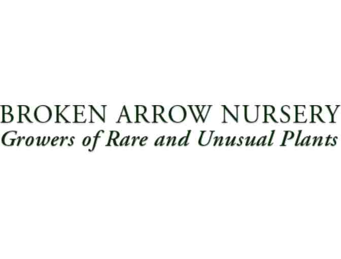 One (1) $50.00 Gift Card to Broken Arrow Nursery - Hamden, CT