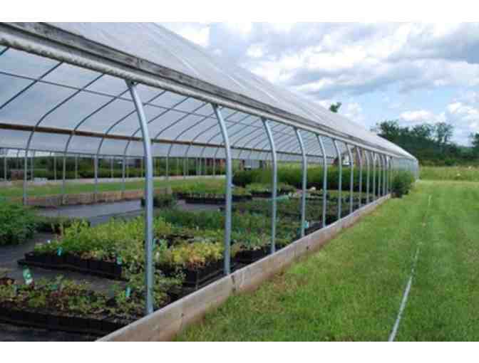 Alexis Doshas lead Tour of Nasami Farm and Plant Propagation Demo for Four (4)