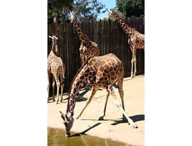 Oakland Zoo: One family day pass plus free parking