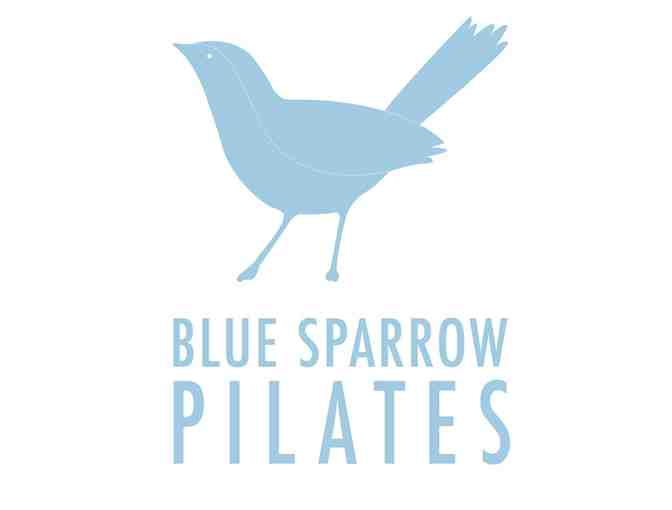 Blue Sparrow Pilates:  2 Private Pilates Sessions