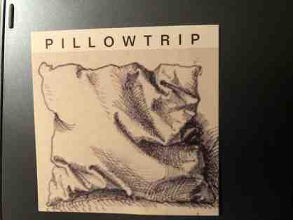 Pillowtrip Custom or already made designer pillows - $100 Gift Certificate