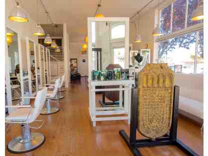 Tom's Beautiful Hair - $165 Gift Certificate