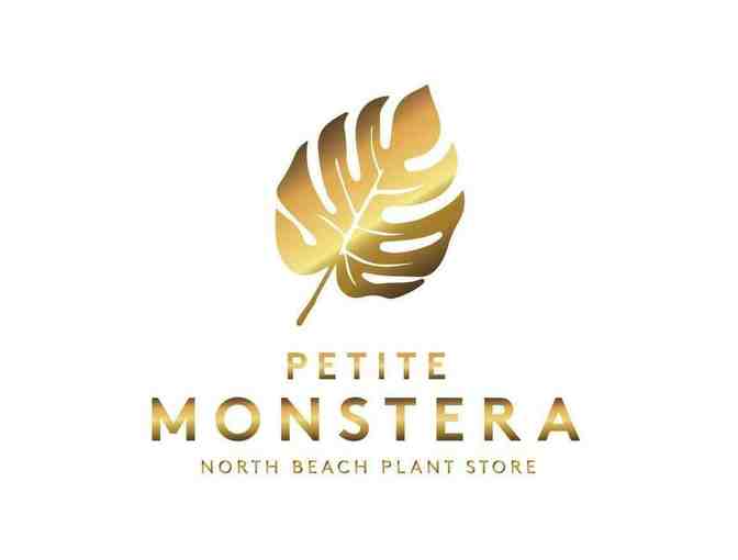 PETITE MONSTERA: Gift Certificate for $150