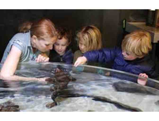 Santa Barbara Museum of Natural History - 4 Guest Passes to either Museum or Sea Center