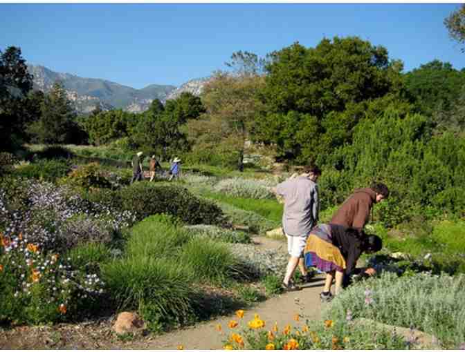 The Santa Barbara Botanic Garden - 4 Guest Passes