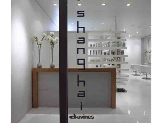 Shanghai Salon  - Hair Conditioning, Blowout & Style
