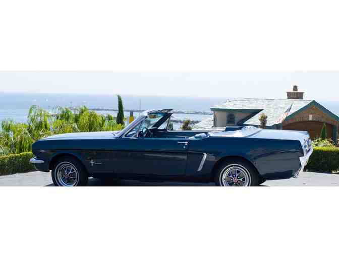 Classic Mustang Rentals - 1 Day Rental of 1965 Mustang Covertible