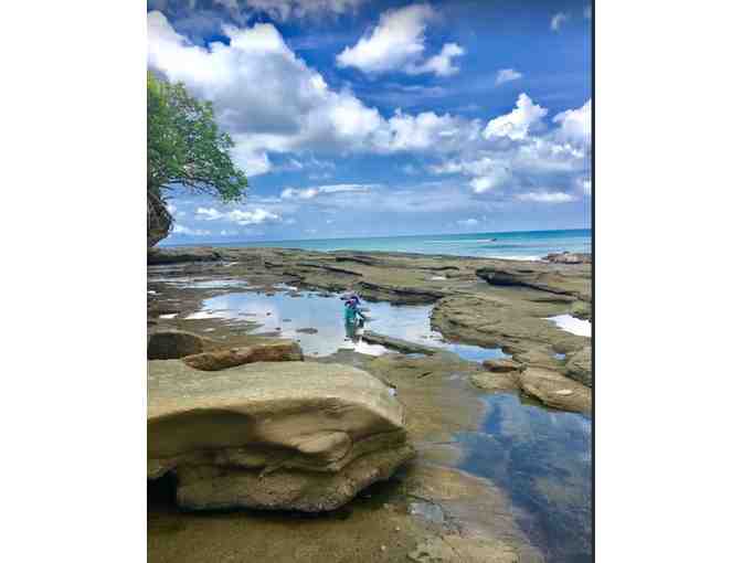 One Week Stay in Surfer's Nicaragua Paradise!