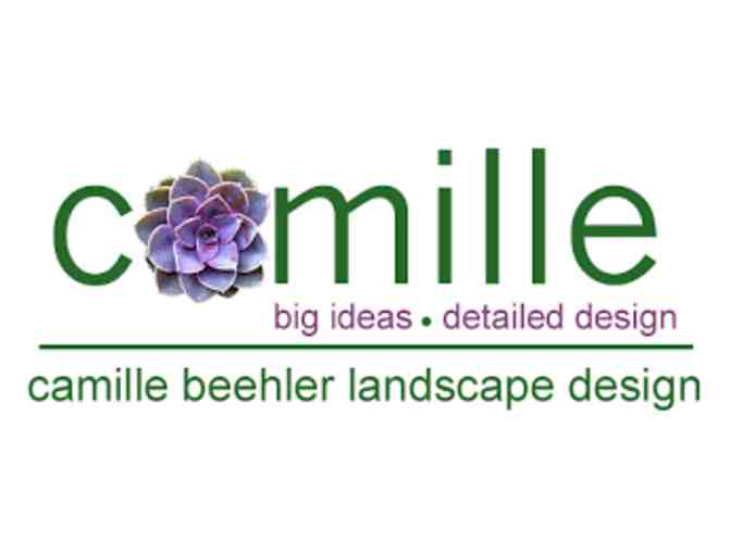 Camille Beehler Landscape Design - Live Arrangement