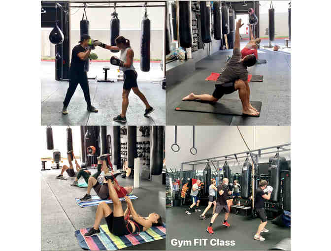 FitNFunFitness-1 Month of Fitness Classes
