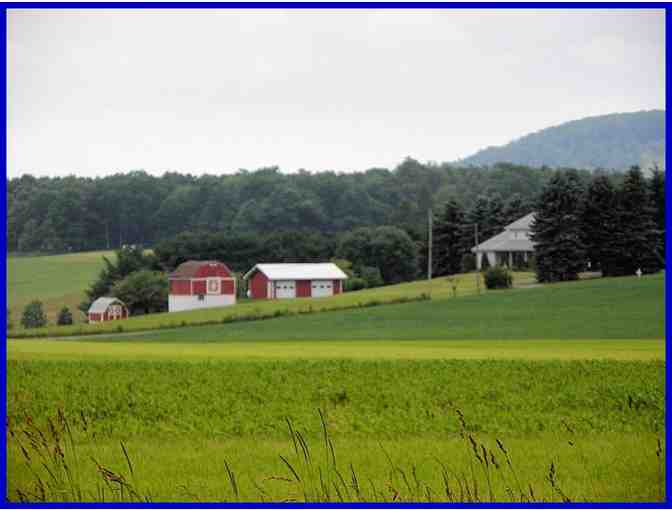 A 3 night/4 day weekend stay in a 5 bedroom home in beautiful Garrett County Maryland