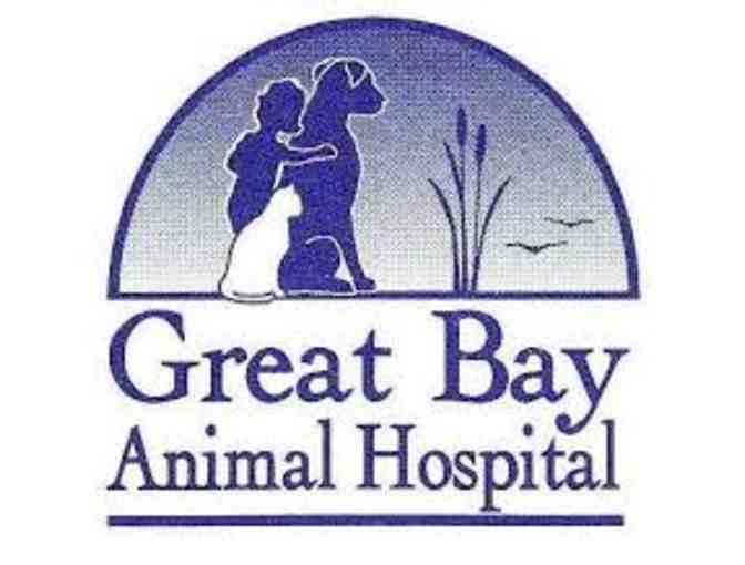 $125 gift certificate to Great Bay Animal Hospital
