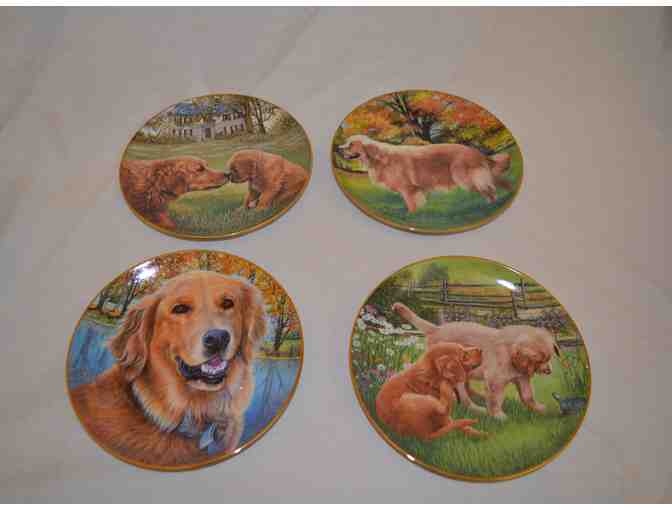 Set of 8 decorative golden retriever plates