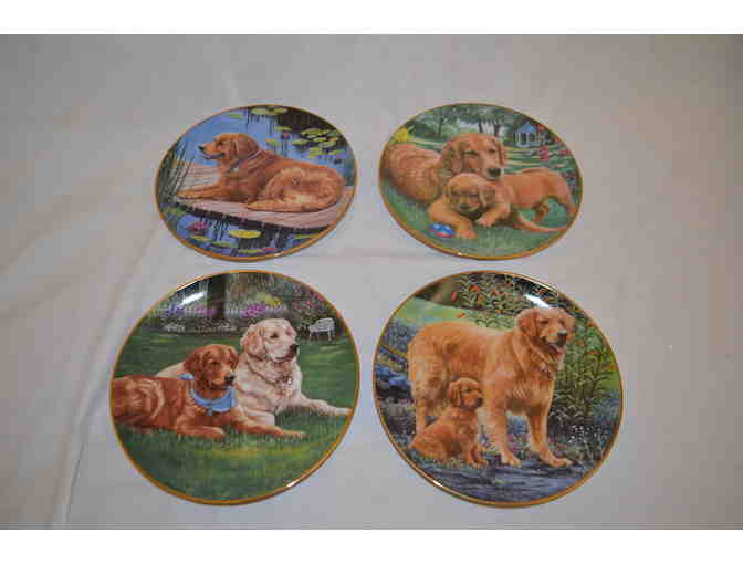 Set of 8 decorative golden retriever plates