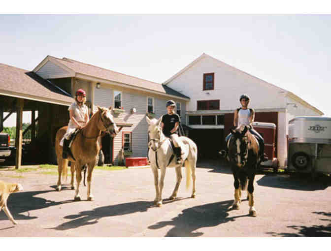 One Hour Horseback Riding Lesson at North Road Farm