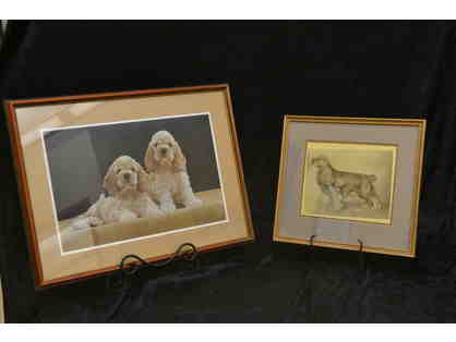Two Framed Cocker Spaniel Pictures