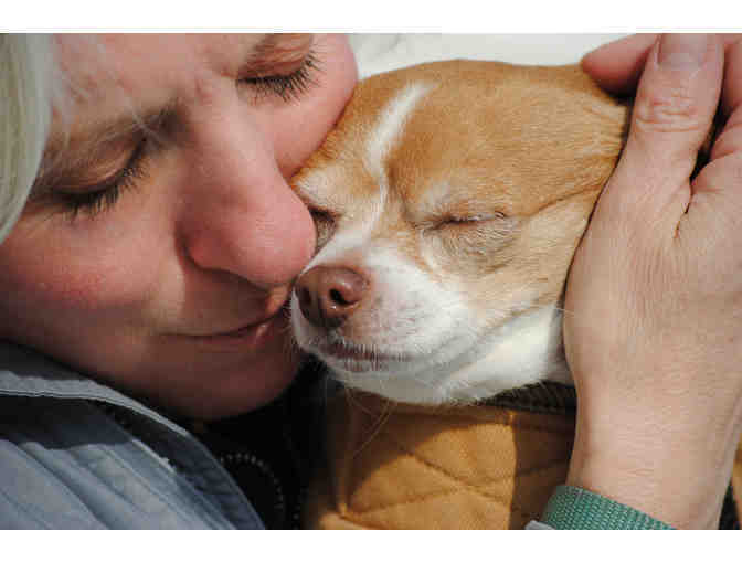 Help The NHSPCA Care For A Dog