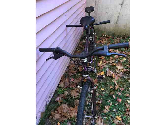 Cruise Around Town On This Unique Tandem Bicycle!