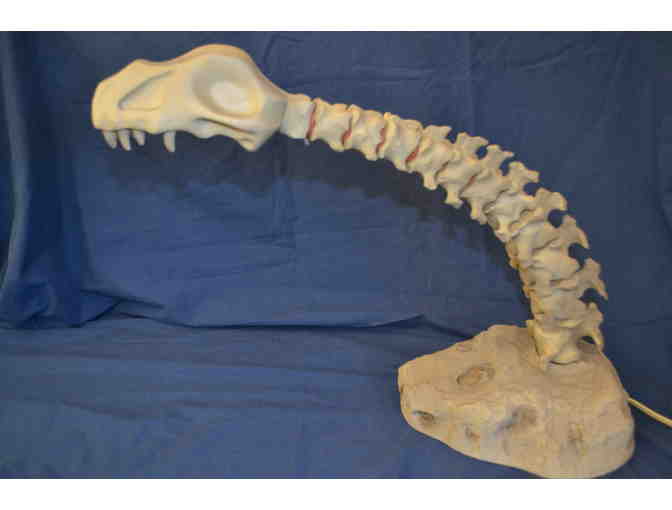 Unique Dinosaur Lamp