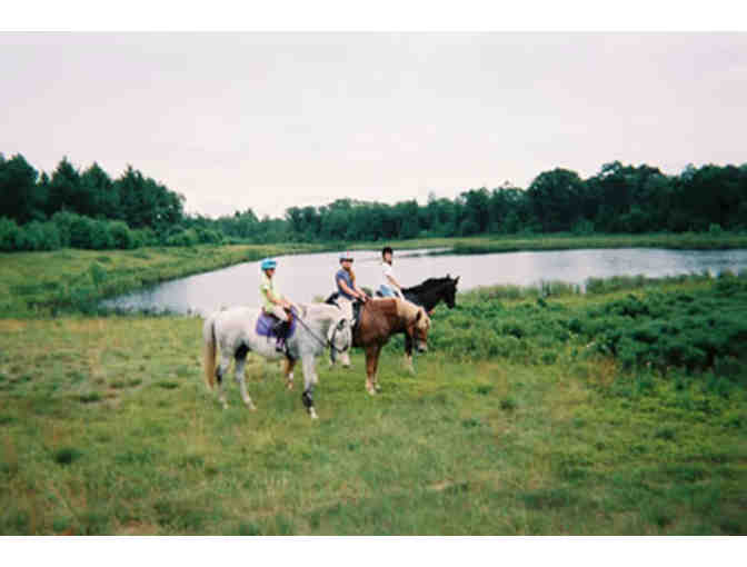 Giddy Up With A Private Riding Lesson!