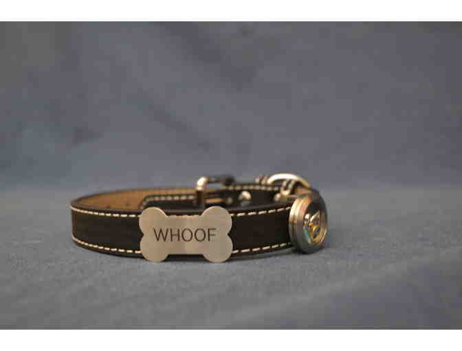 Unique Origami Owl Dog Collar