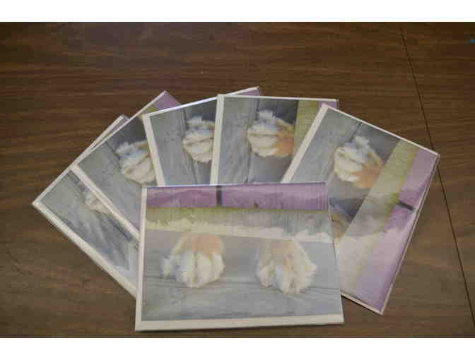 Dog Paws Greeting Cards