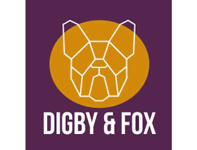 Digby and Fox