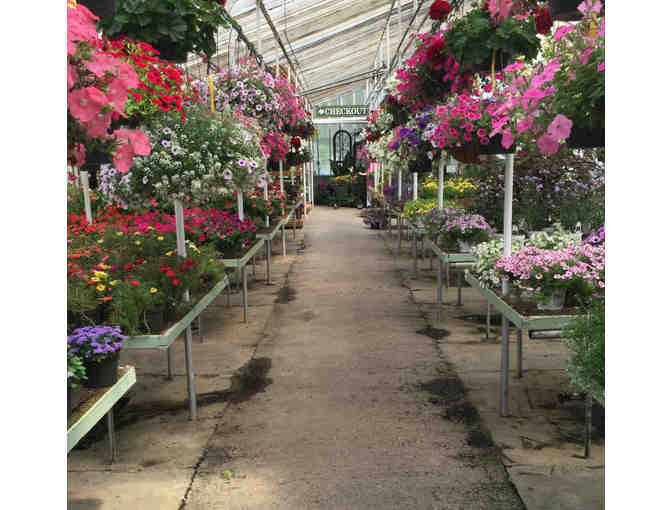 Wentworth Greenhouses Gift Card