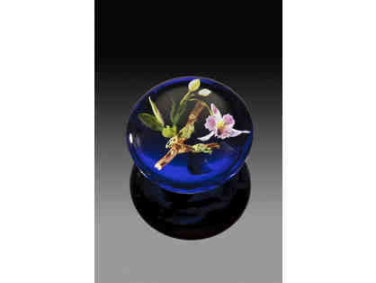 Paul Stankard - Cobalt & Catalina Orchid