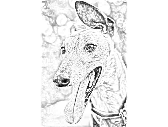 Digital Drawing of Your Pet