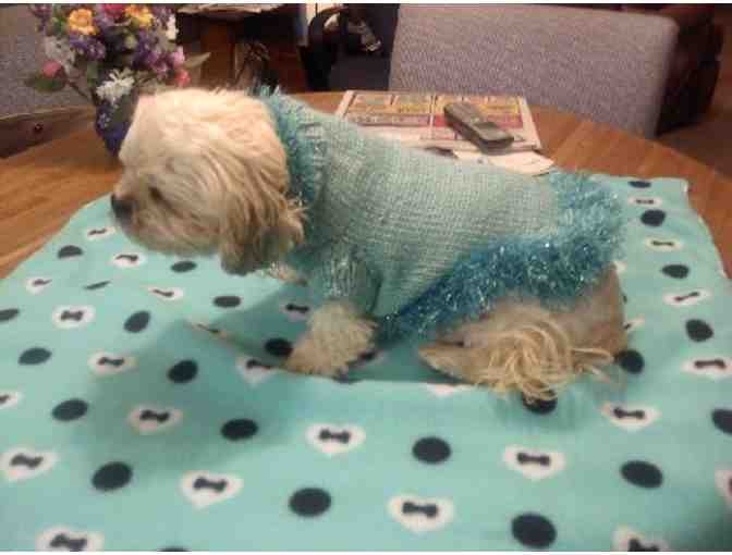 Custom Dog Sweaters