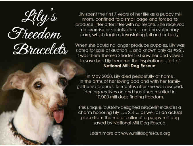 Freedom Bracelet #21